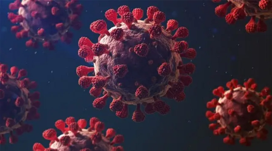 মৃত্যুশূন্য ‍দিনে ১৩ জনের করোনা শনাক্ত